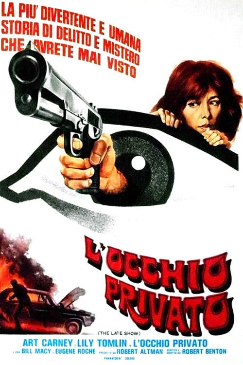 Poster di L'occhio privato