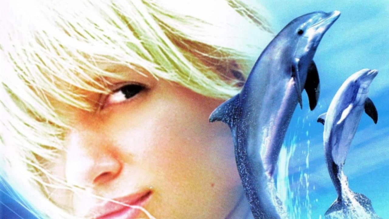 Un delfino per amico - immagine