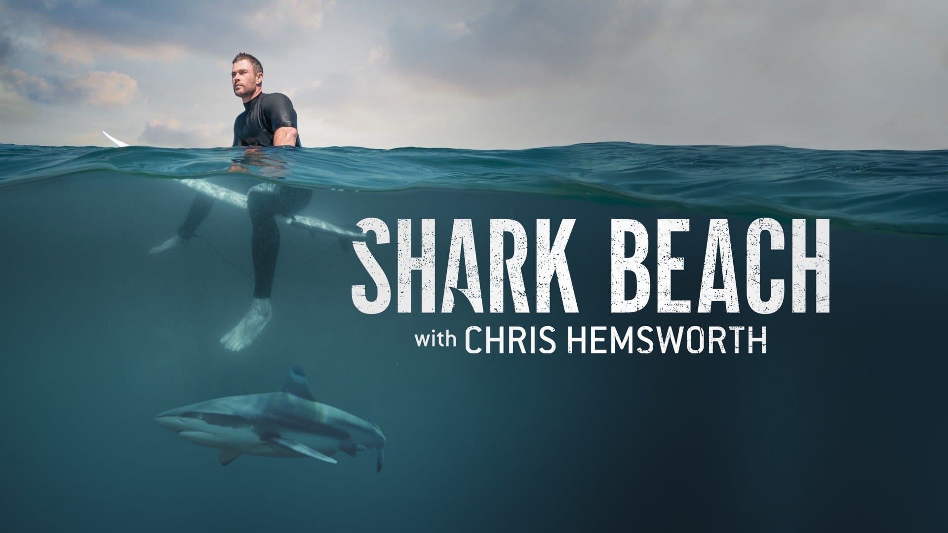 Shark Beach with Chris Hemsworth - immagine