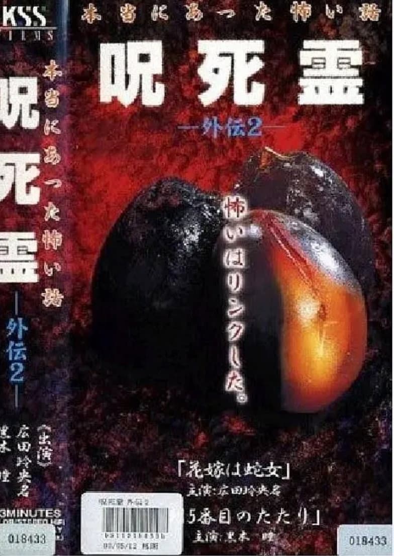 Poster di 咒.死.灵外传2 本当にあった怖い話 呪死霊 外伝2