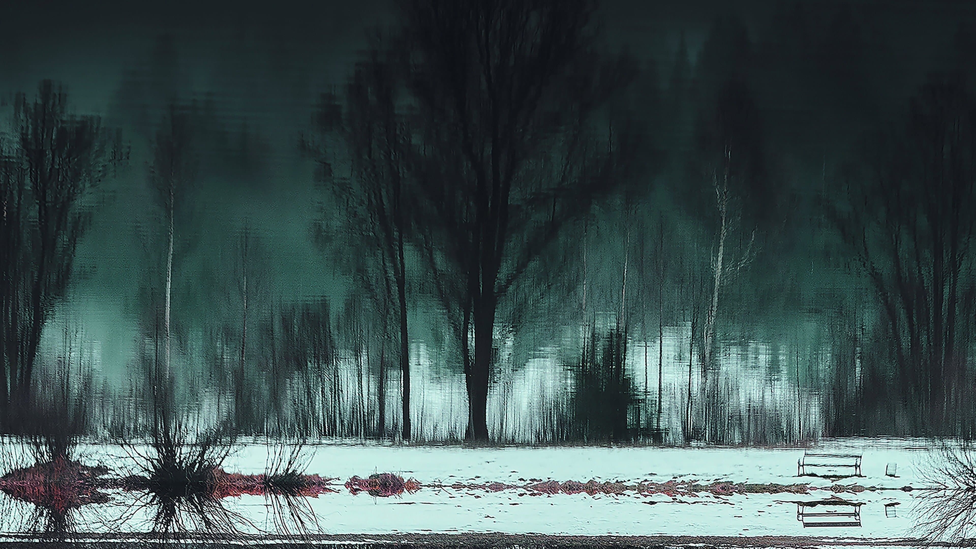 The Darker the Lake - immagine