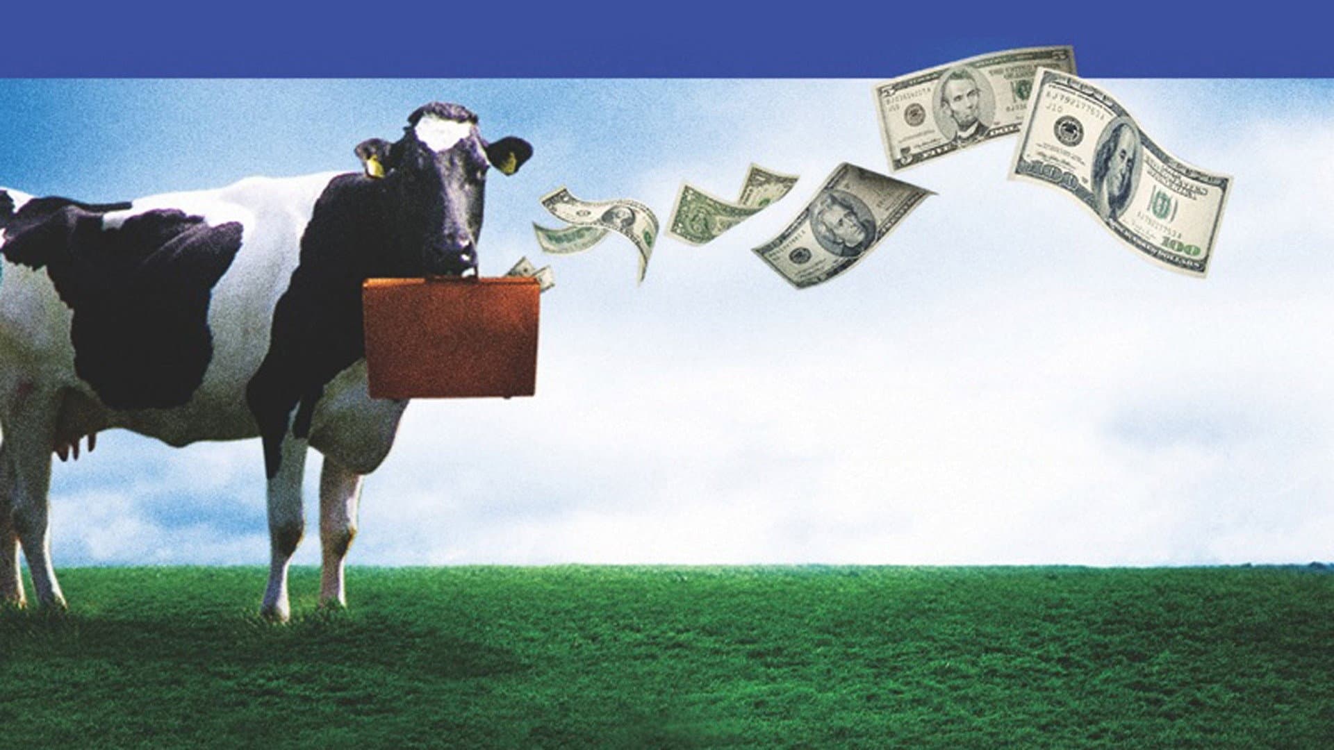 Moola - immagine