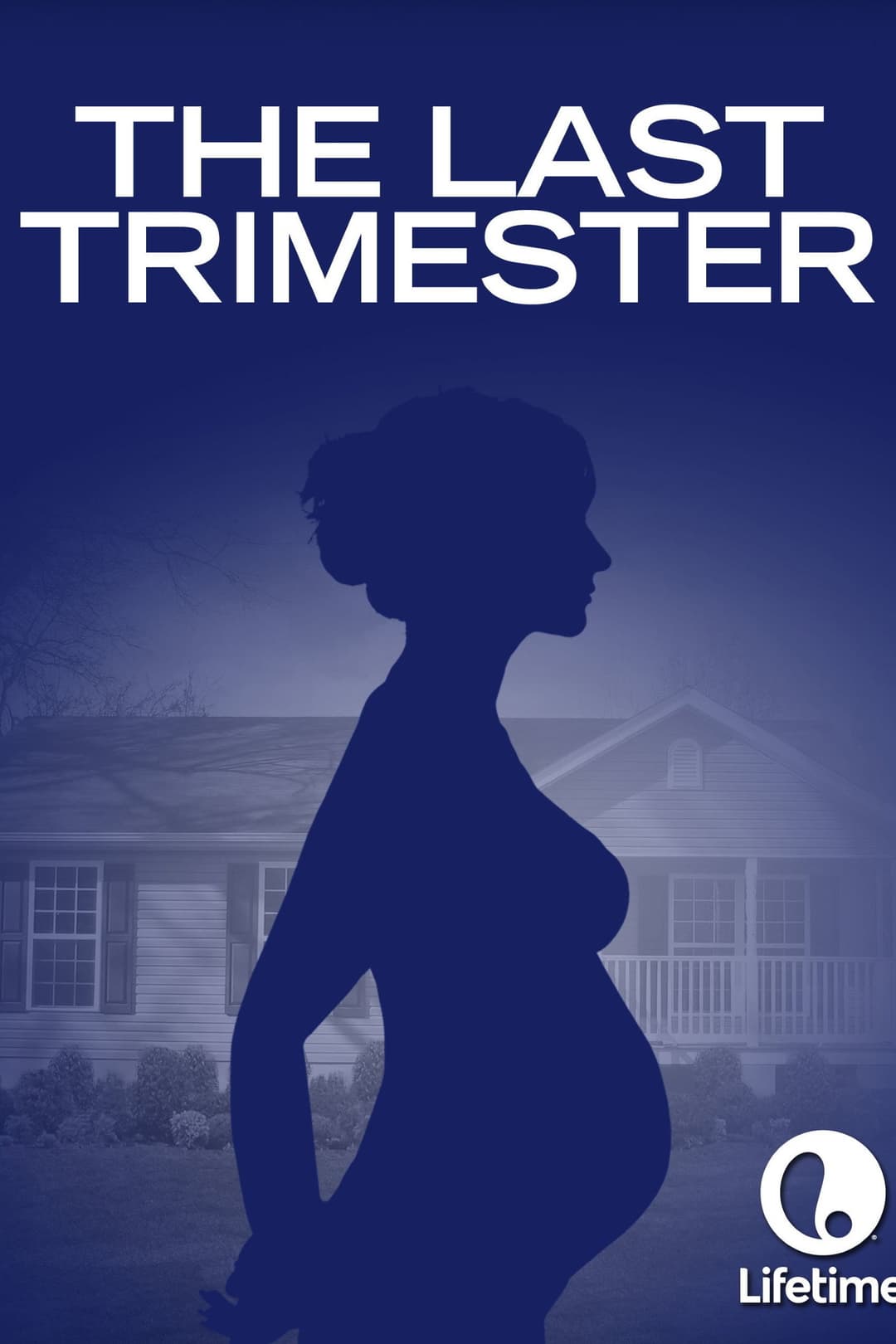 Poster di The Last Trimester
