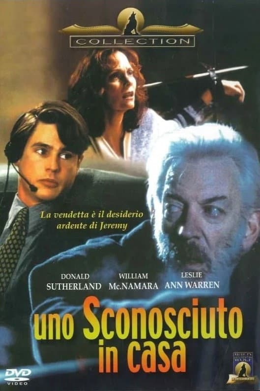 Poster di Uno sconosciuto in casa