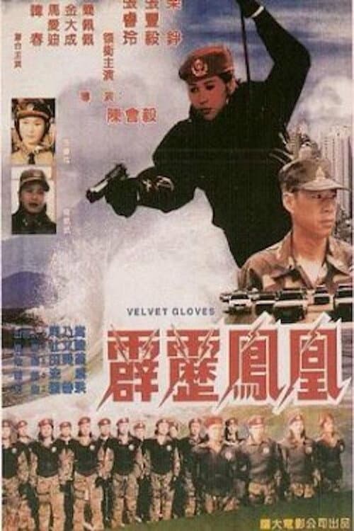 Poster di 霹雳凤凰