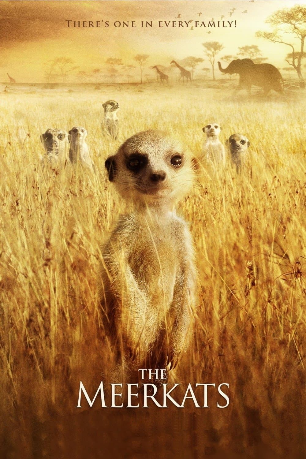 Poster di The Meerkats