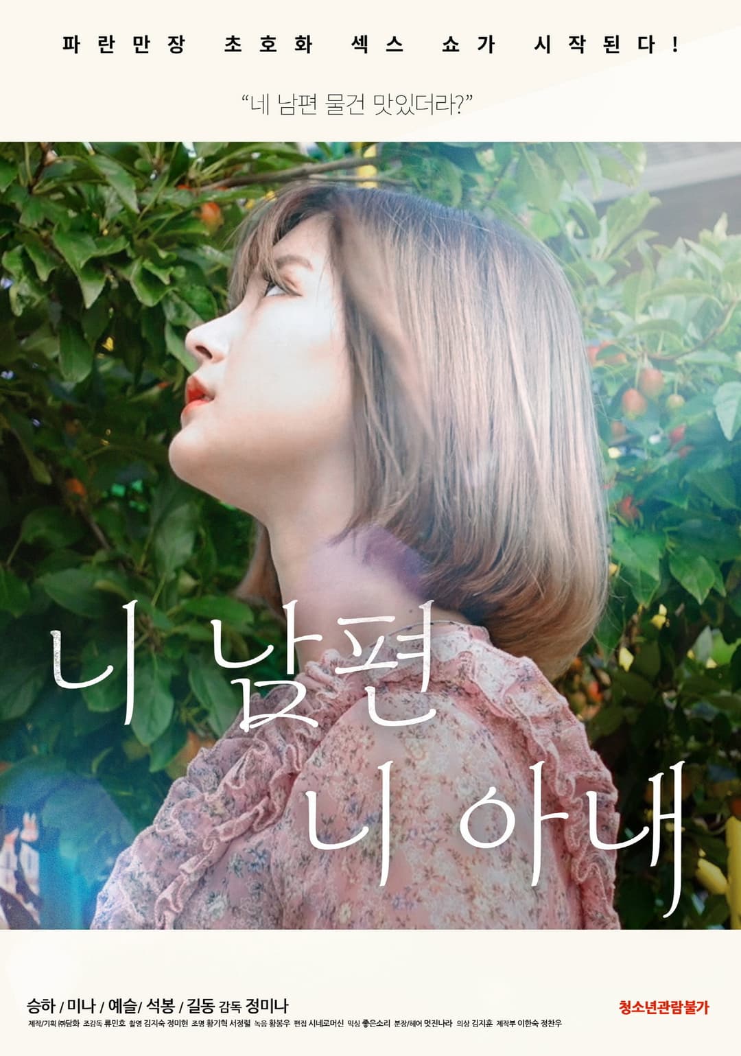Poster di 니 남편 니 아내