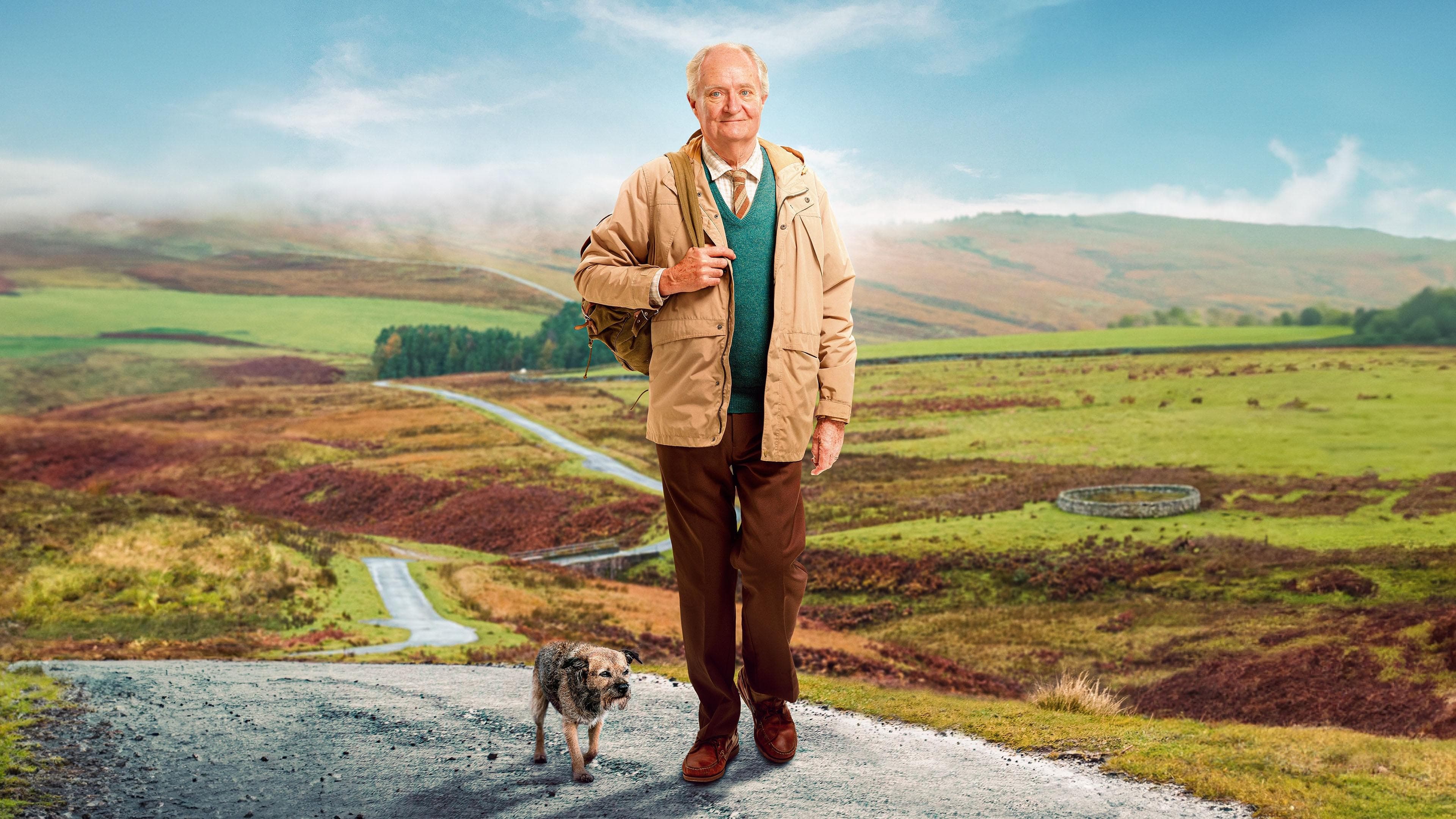 L'imprevedibile viaggio di Harold Fry - immagine