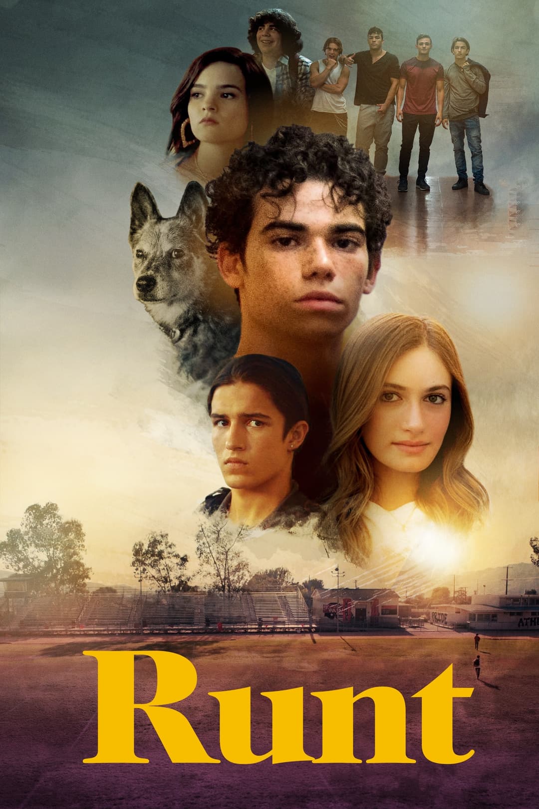 Poster di Runt