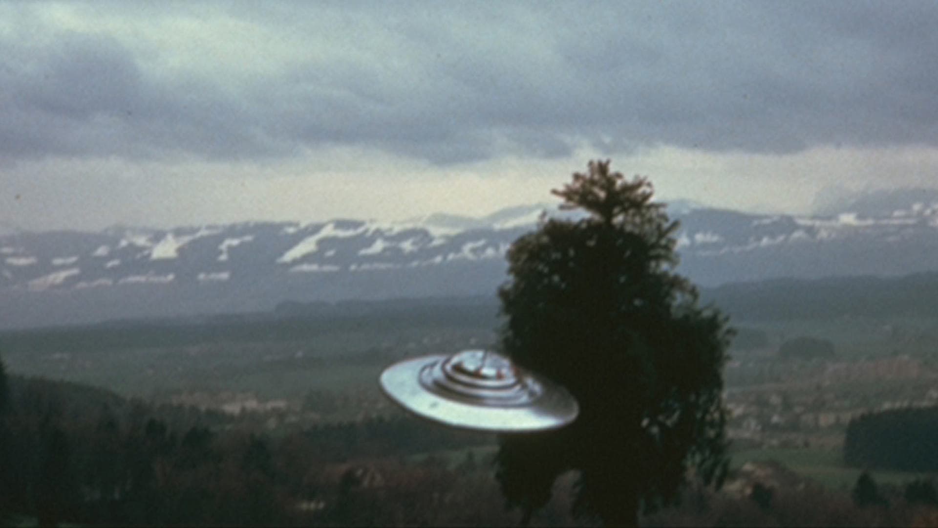 UFO's Are Here! - immagine