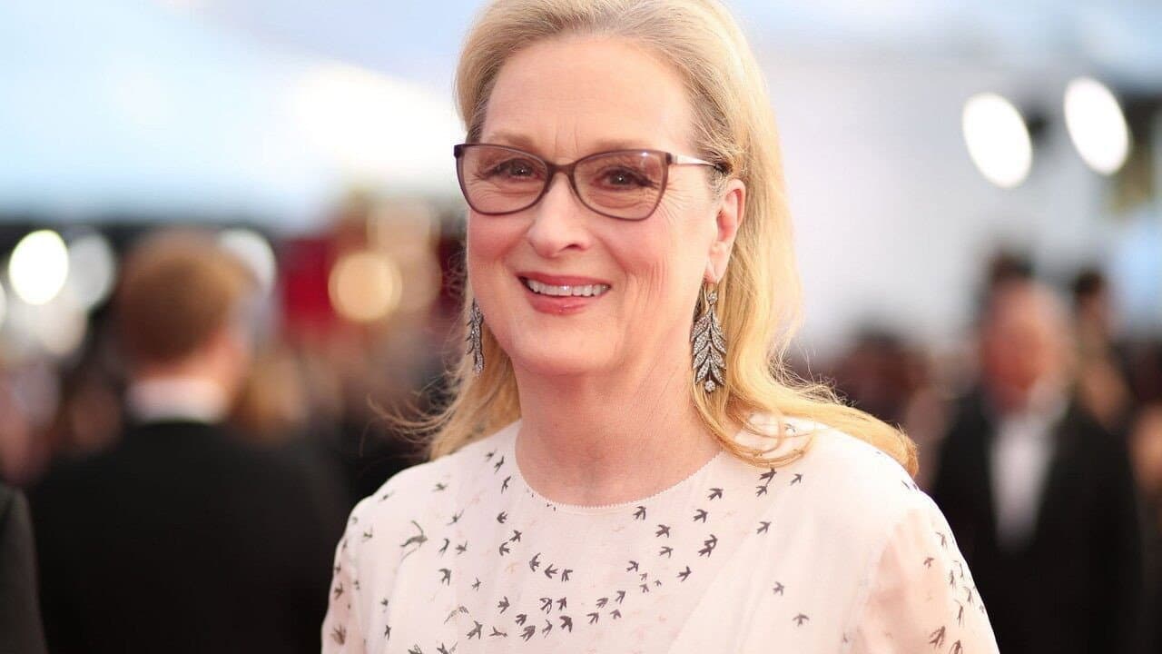 Meryl Streep : mystères et métamorphoses - immagine