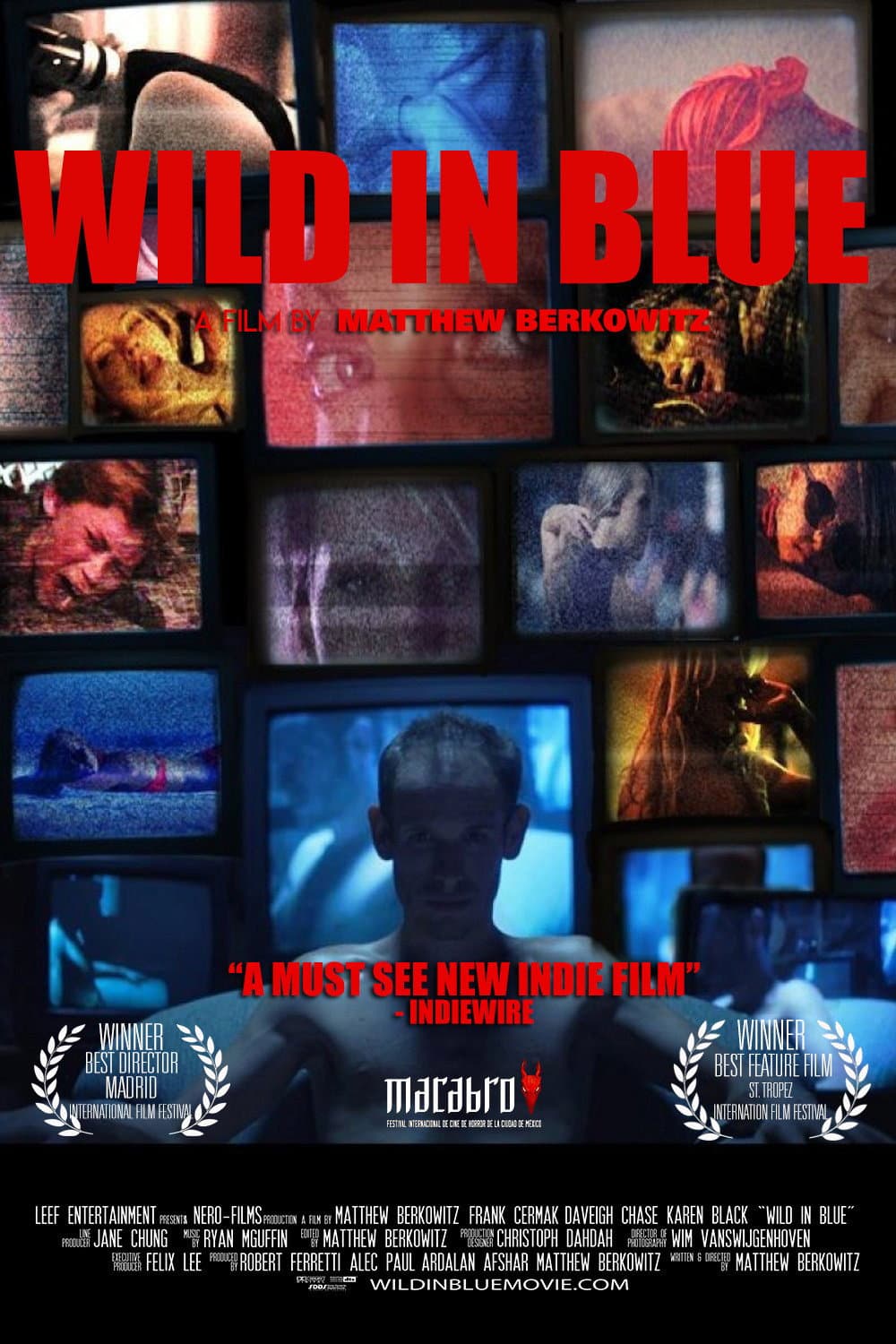 Poster di Wild in Blue