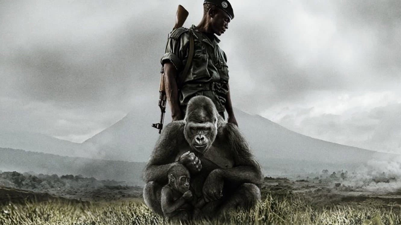 Virunga - immagine