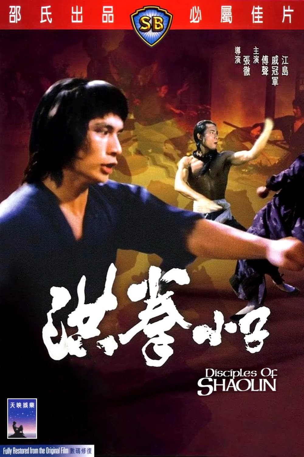 Poster di 洪拳小子
