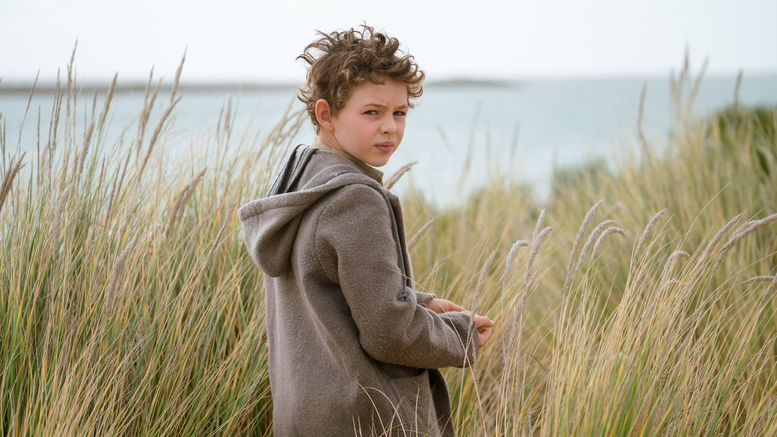 Storm Boy - Il ragazzo che sapeva volare - immagine