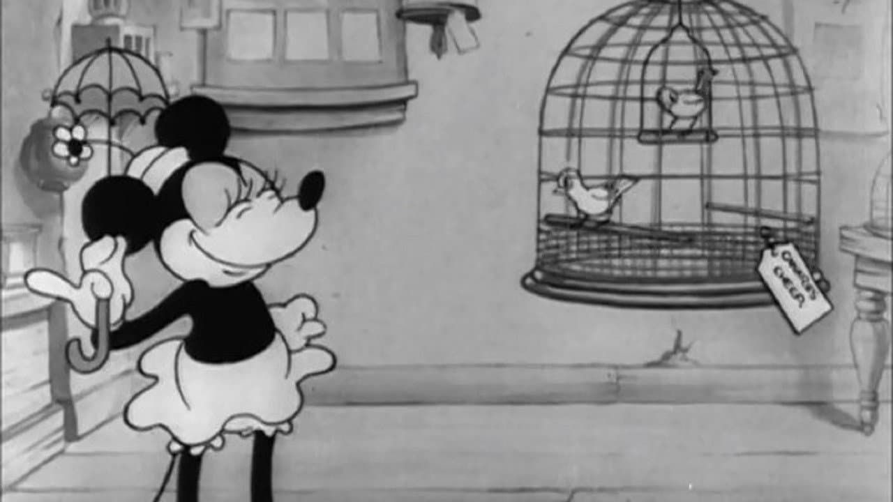 Il negozio di animali - immagine