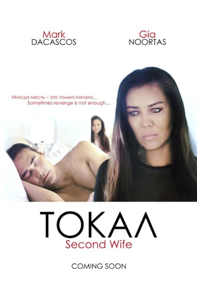 Poster di Токал