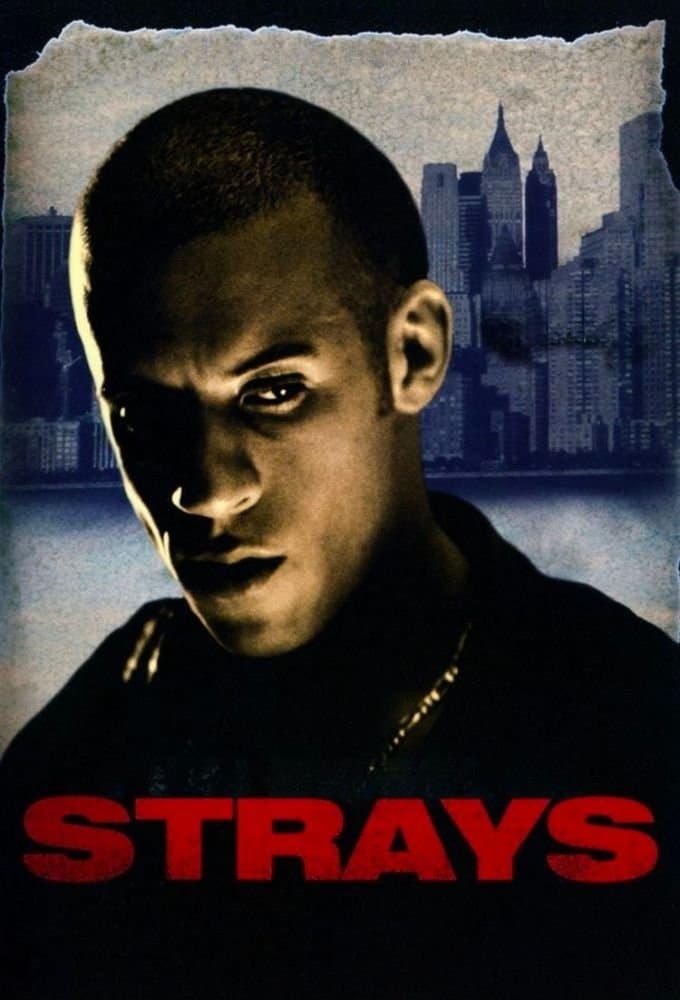 Poster di Strays