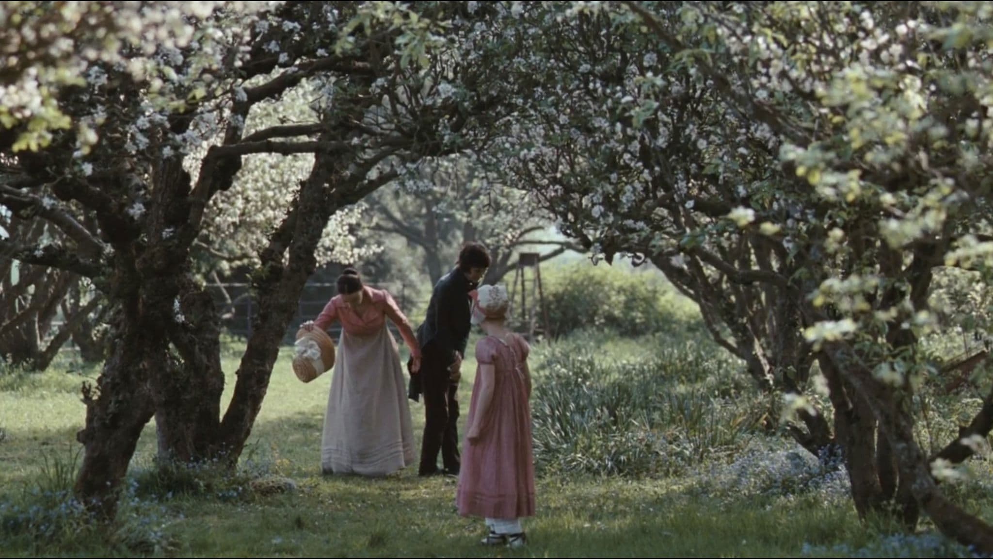 Bright Star - immagine