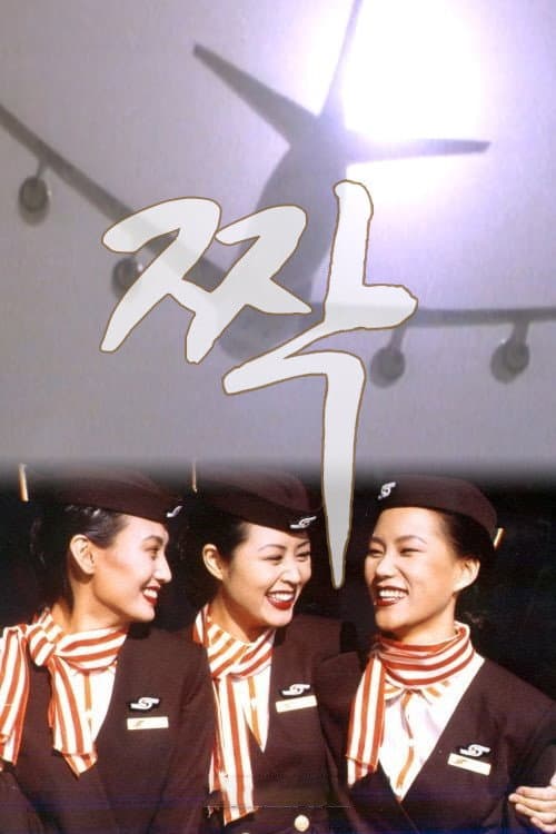 Poster di 짝