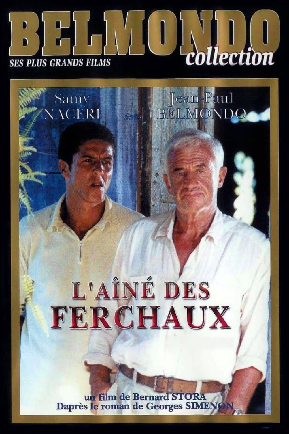 Poster di L'Aîné des Ferchaux