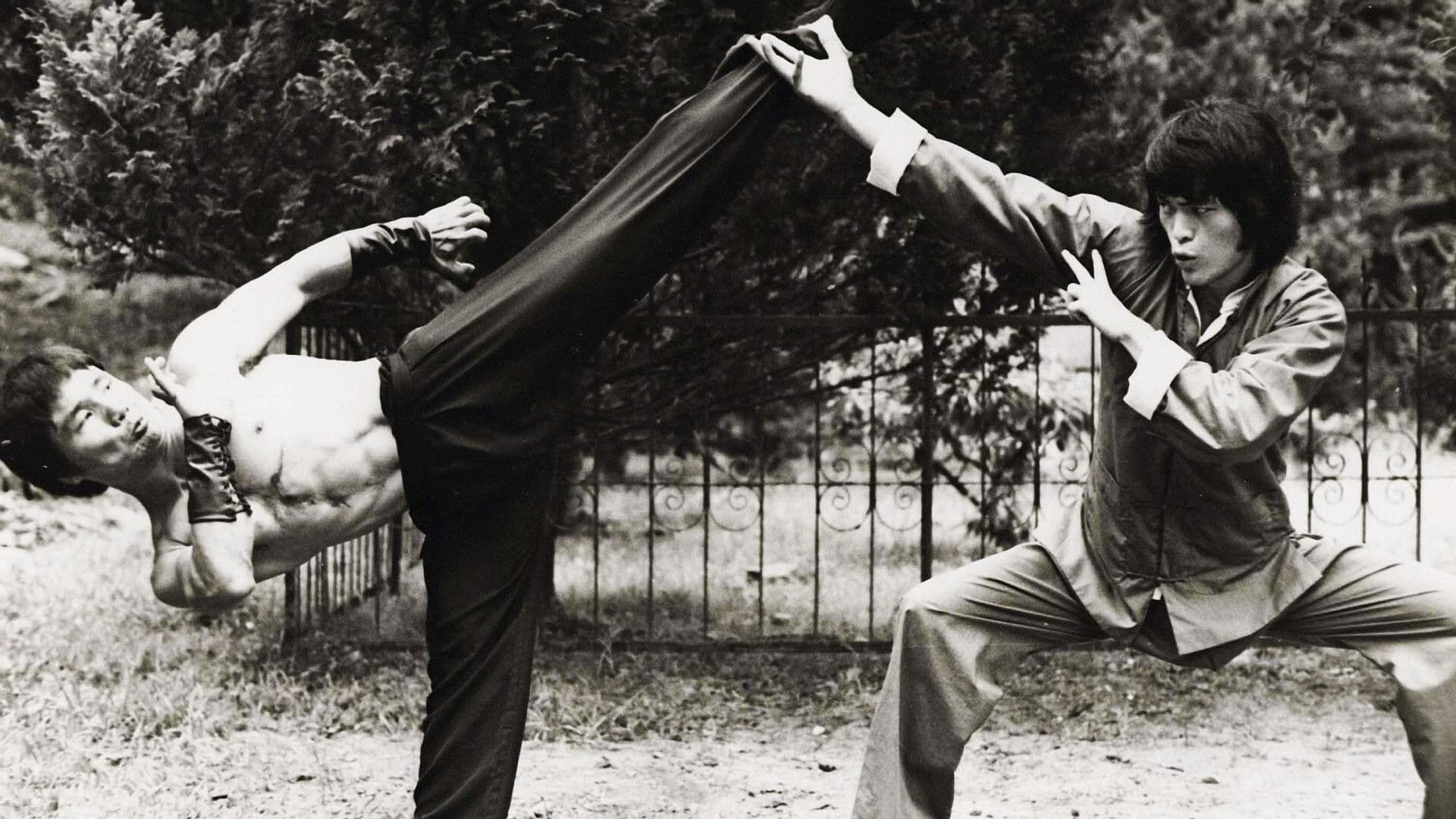 L'ultima sfida di Bruce Lee - immagine