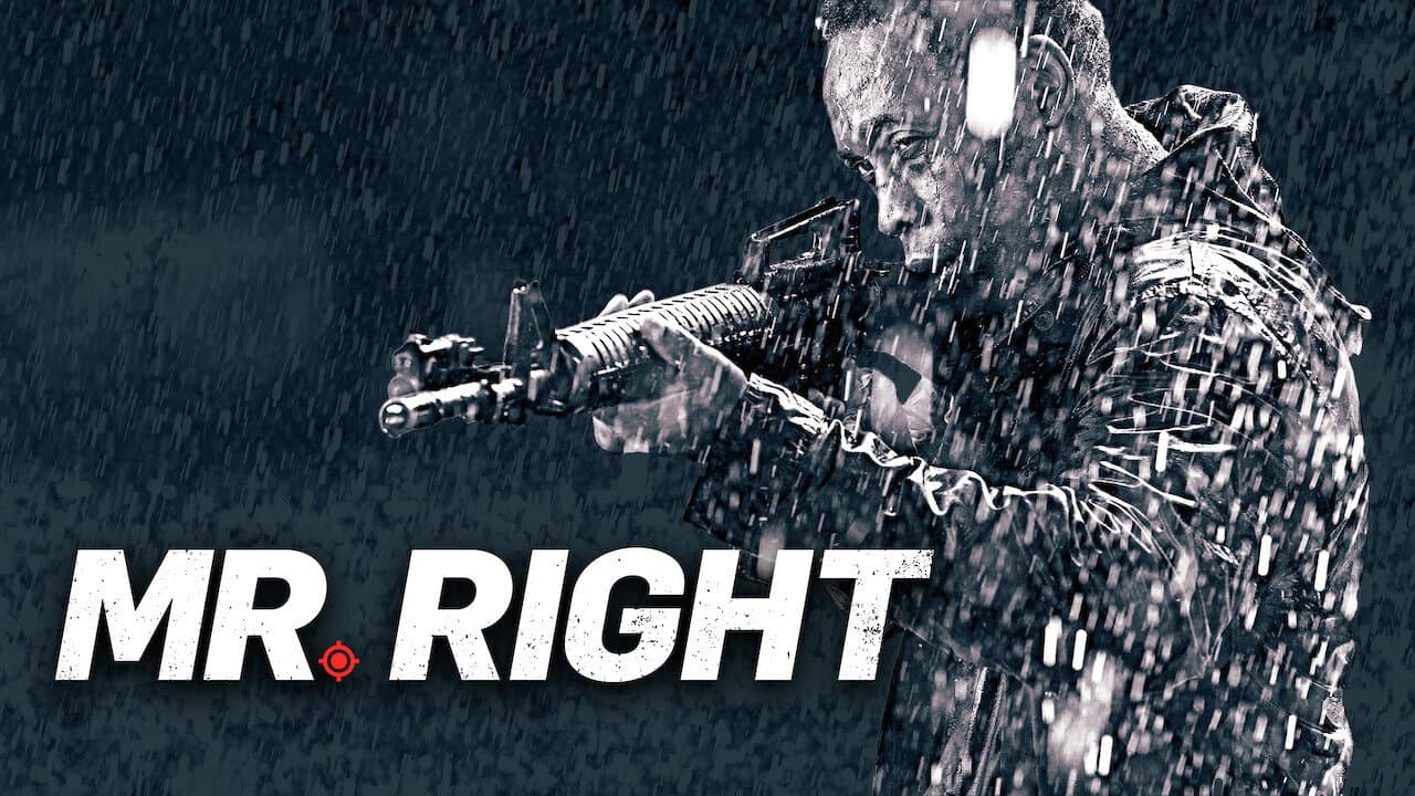 Mr. Right - immagine