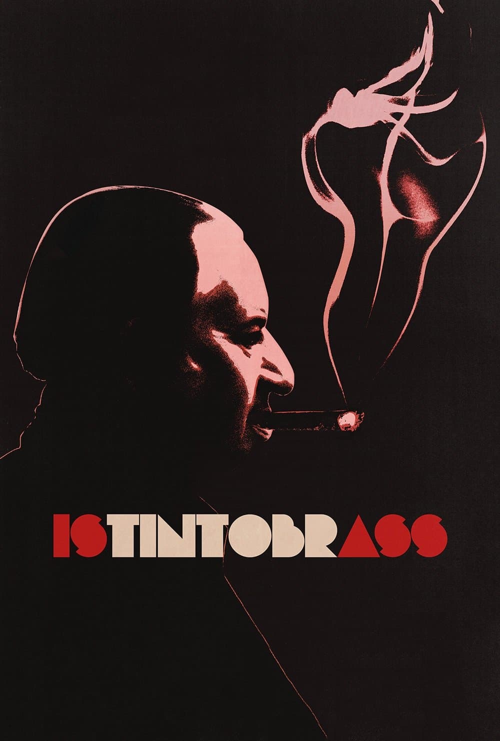 Poster di Istintobrass