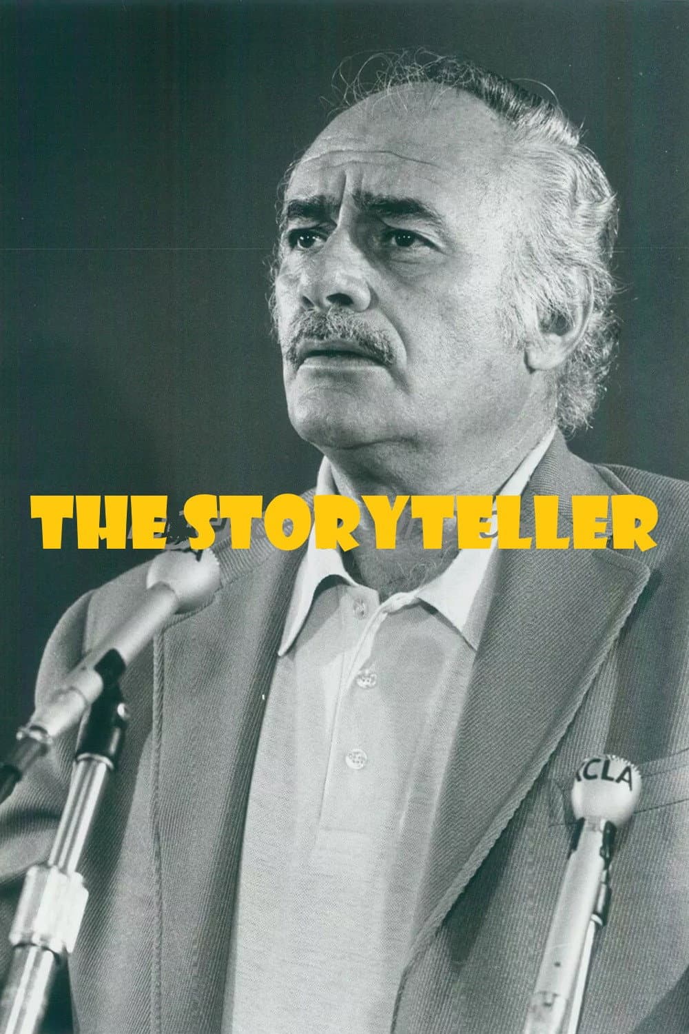 Poster di The Storyteller