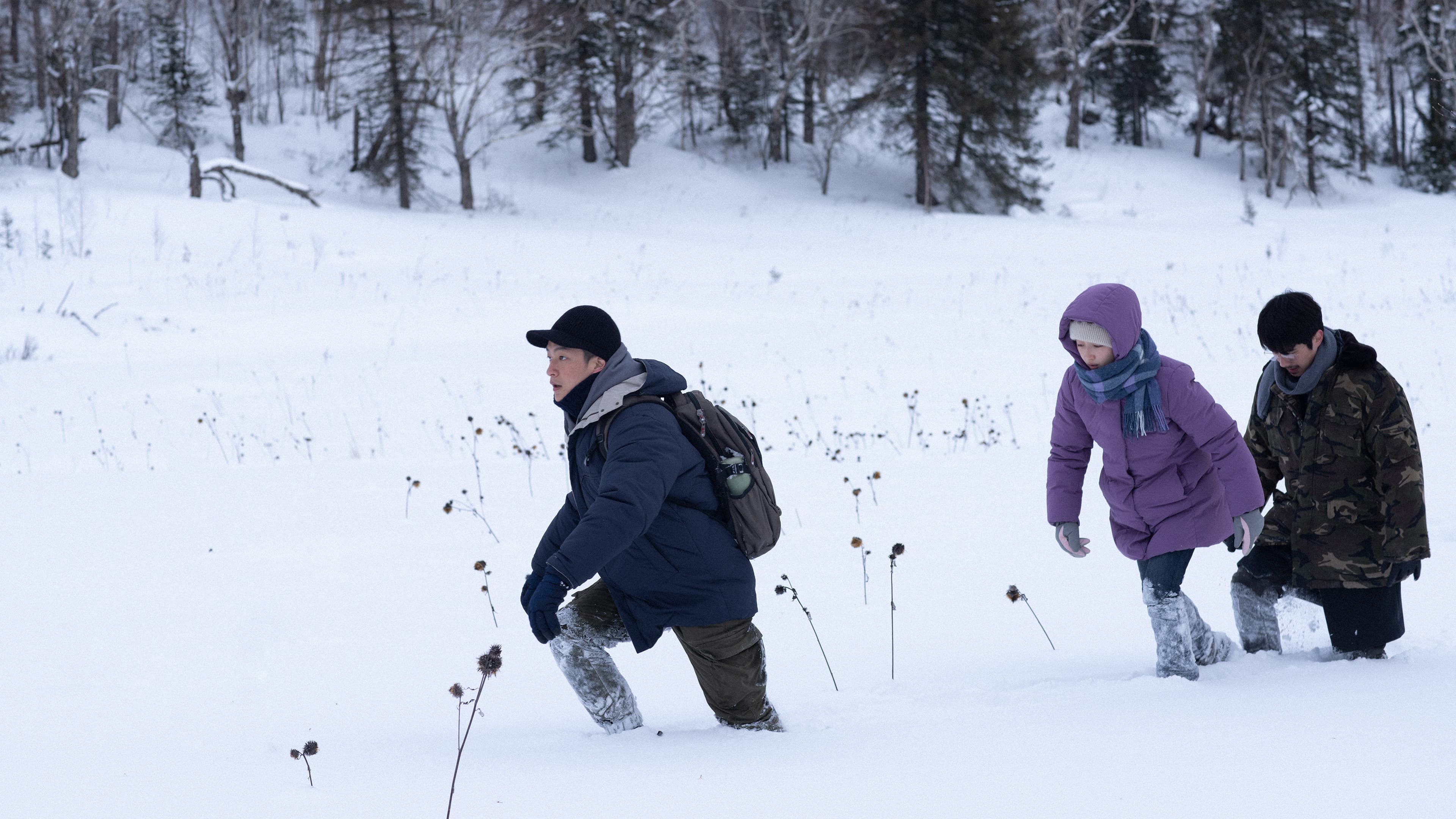The Breaking Ice - immagine