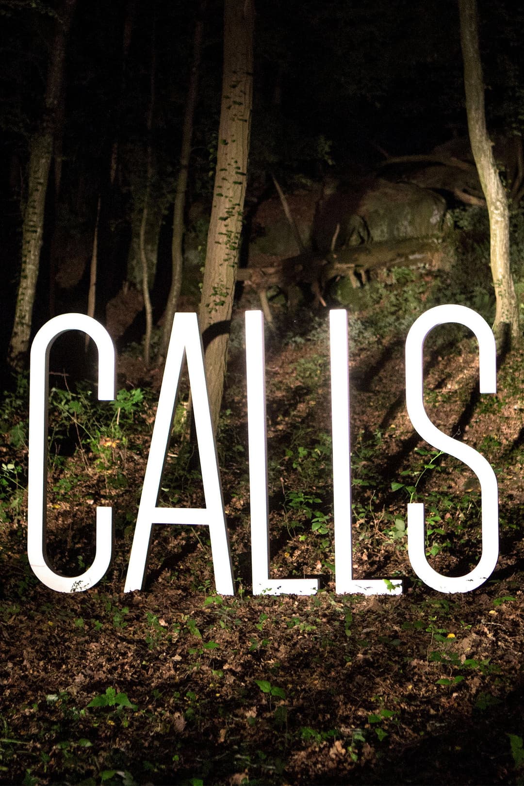 Poster di Calls
