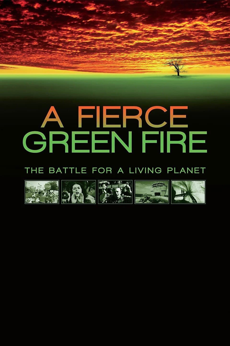 Poster di A Fierce Green Fire