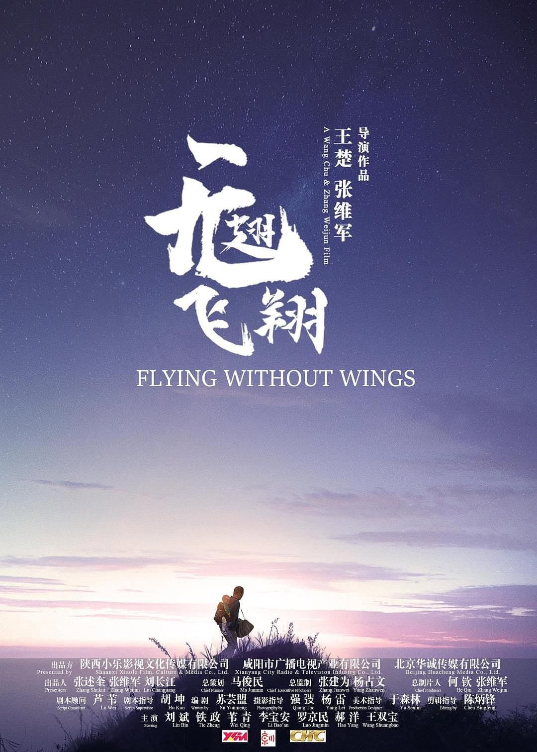 Poster di 无翅飞翔
