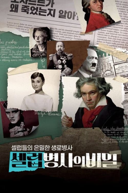 Poster di 셀럽병사의 비밀