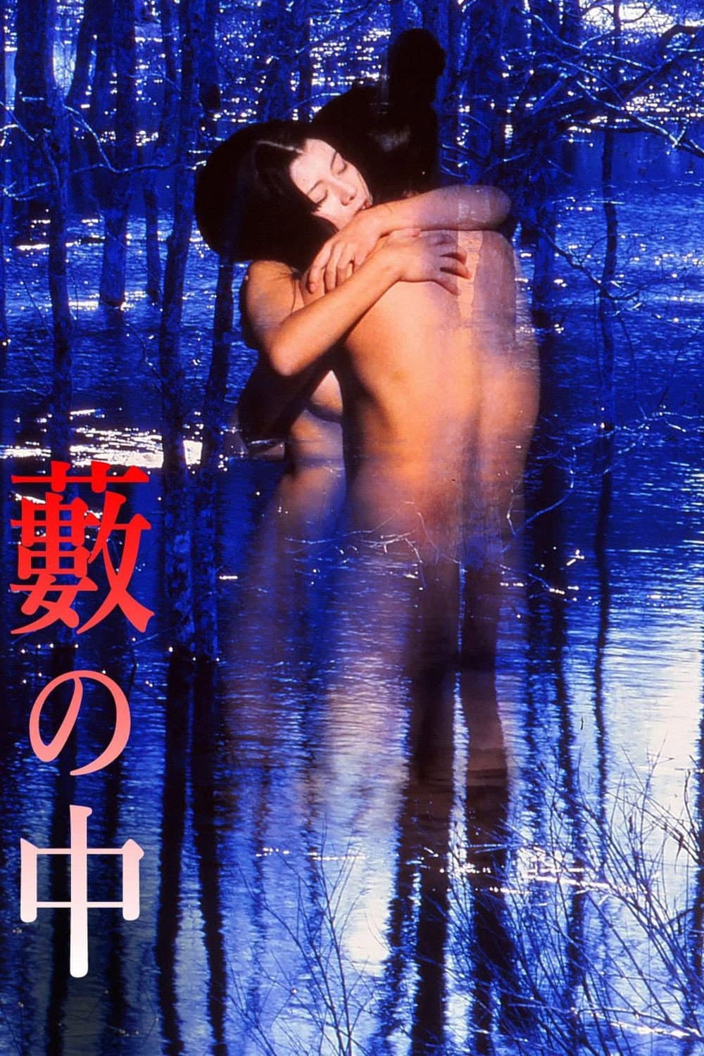 Poster di 藪の中