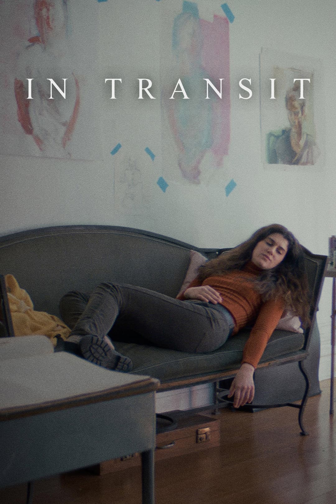 Poster di In Transit