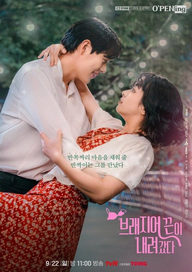 Poster di 오프닝