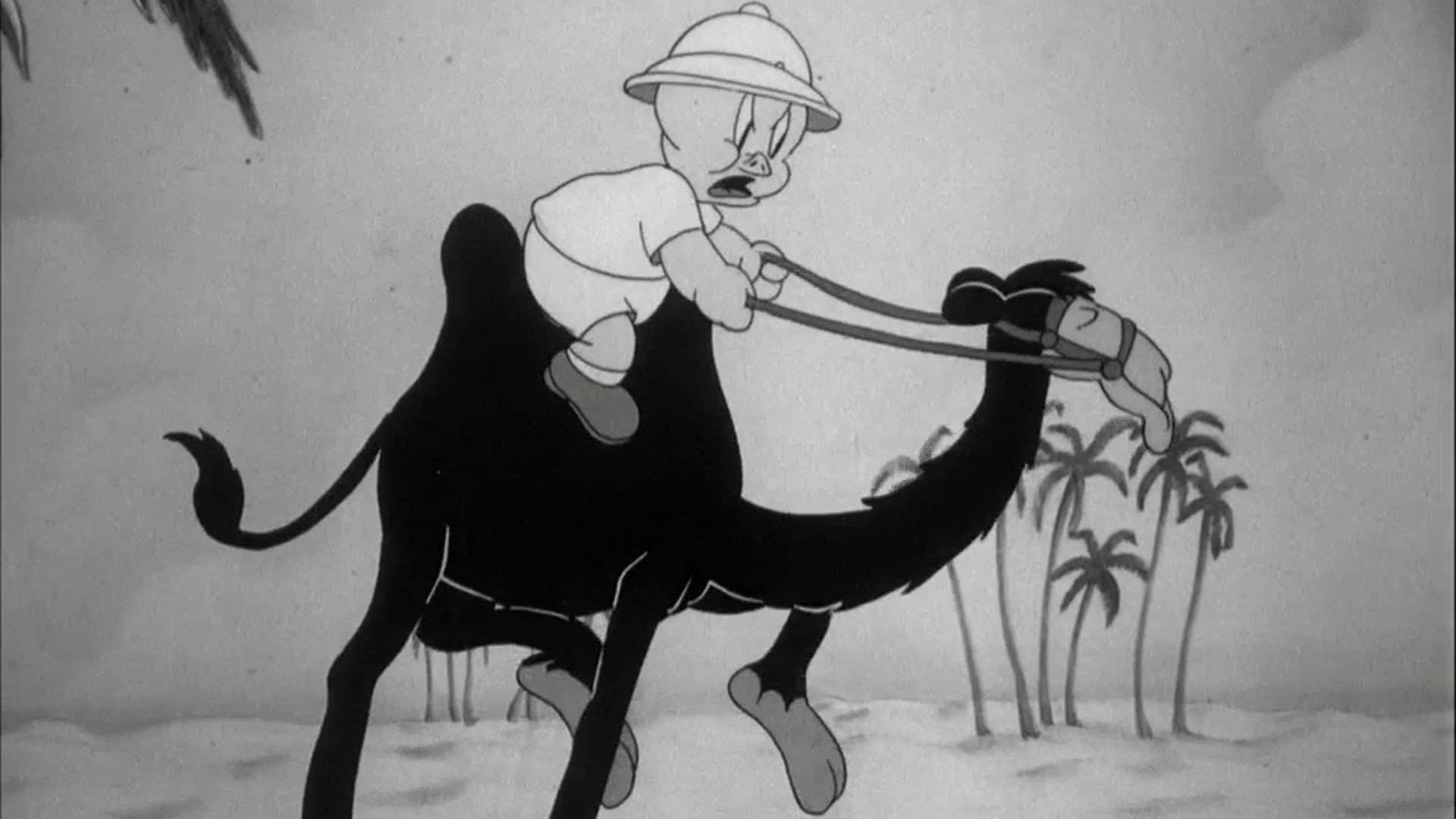 Porky in Egypt - immagine