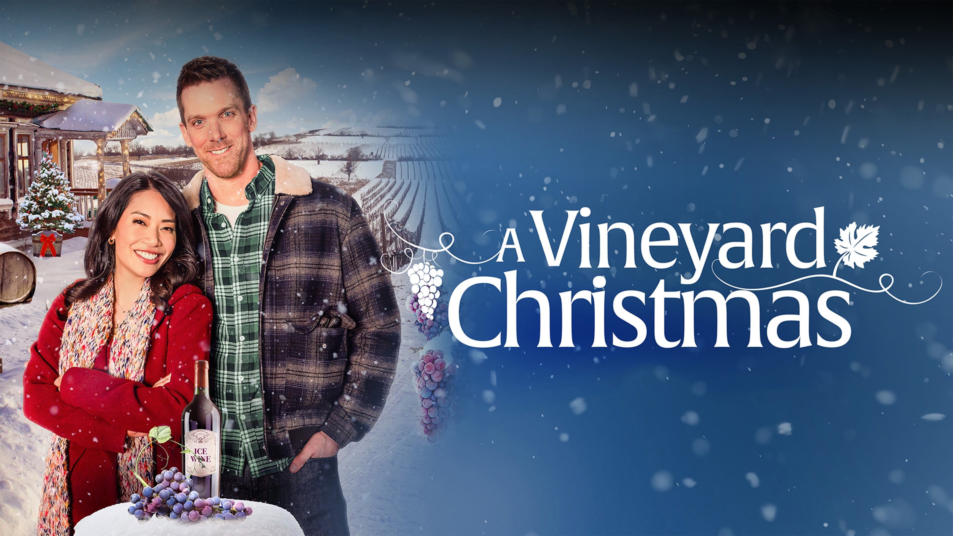 A Vineyard Christmas - immagine