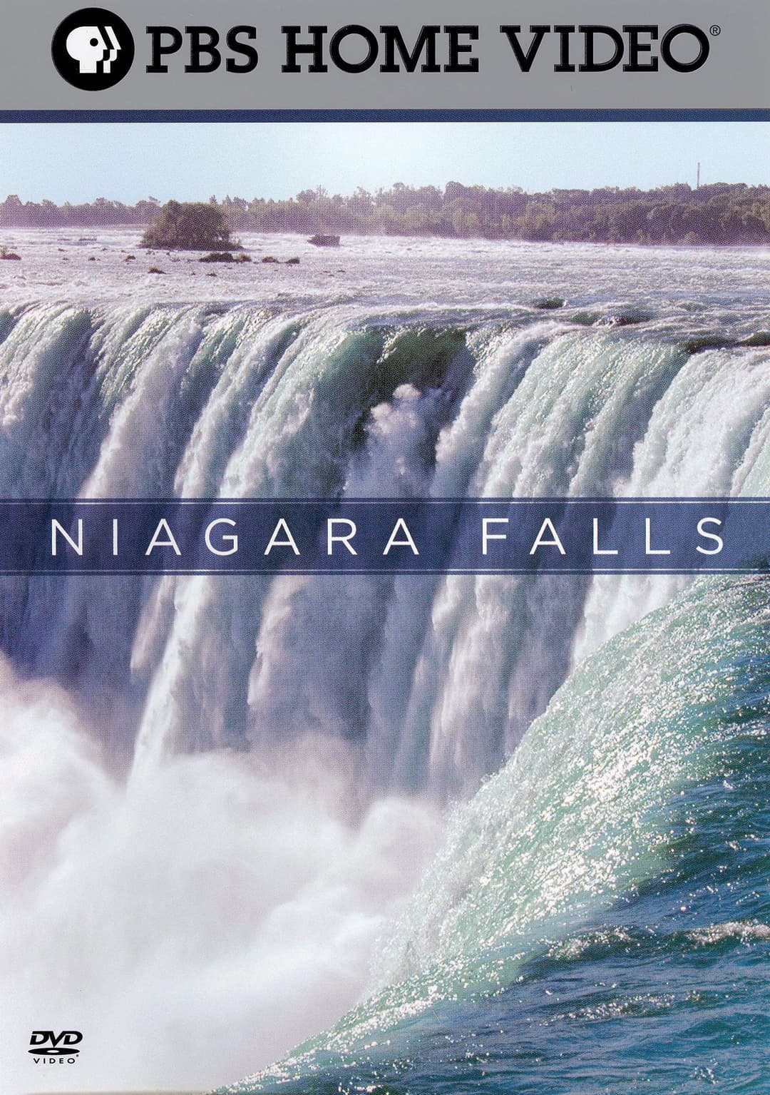 Poster di Niagara Falls