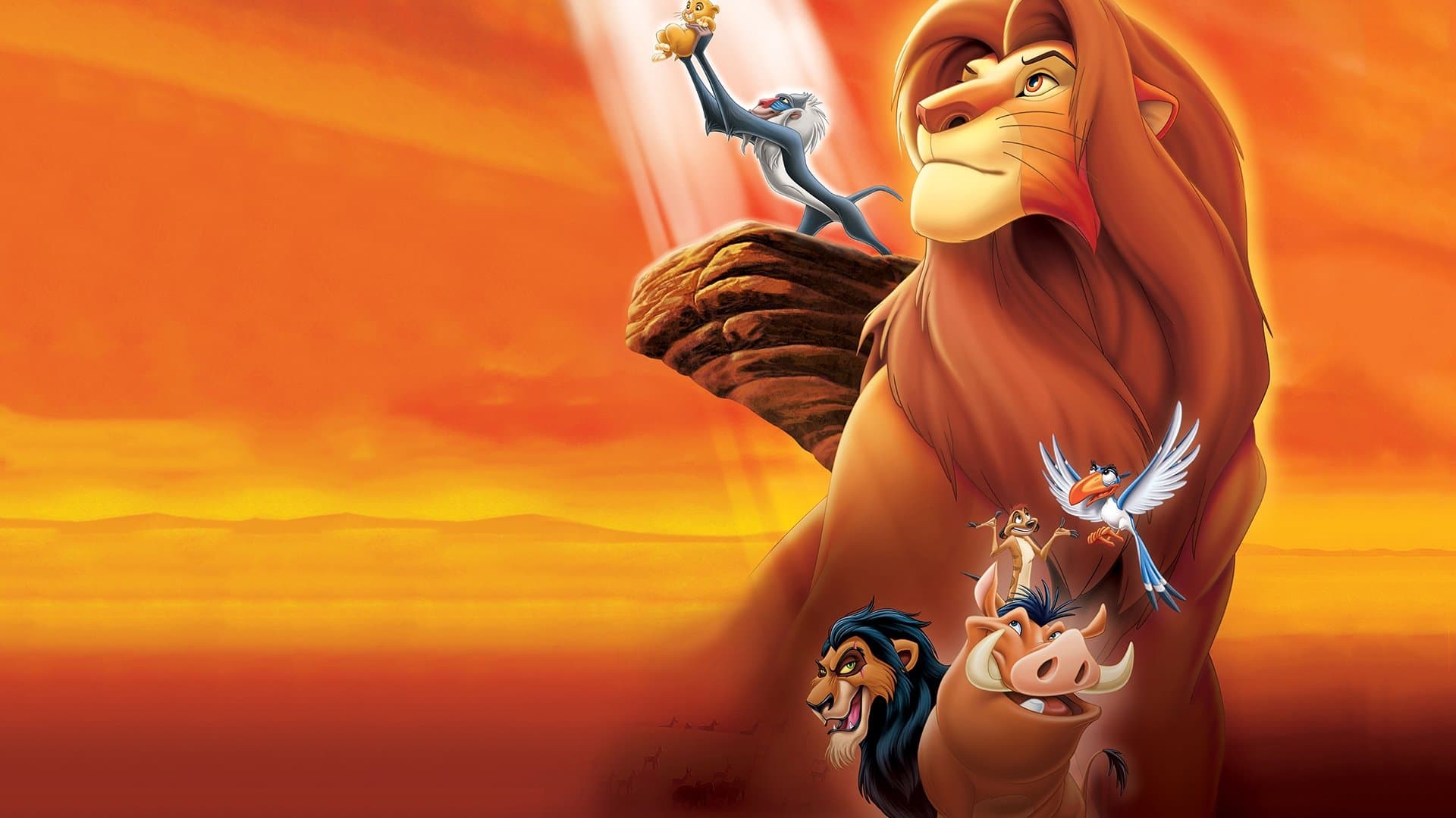 Il re leone - immagine