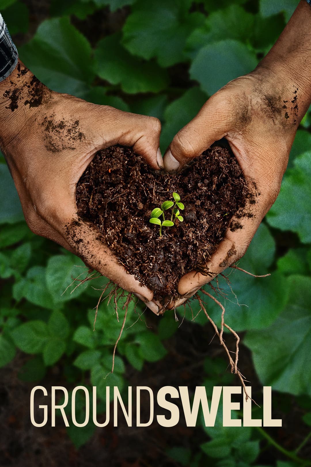 Poster di Groundswell