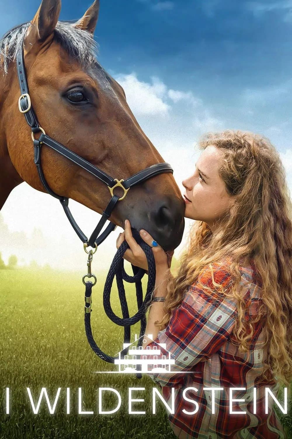 Poster di I Wildenstein