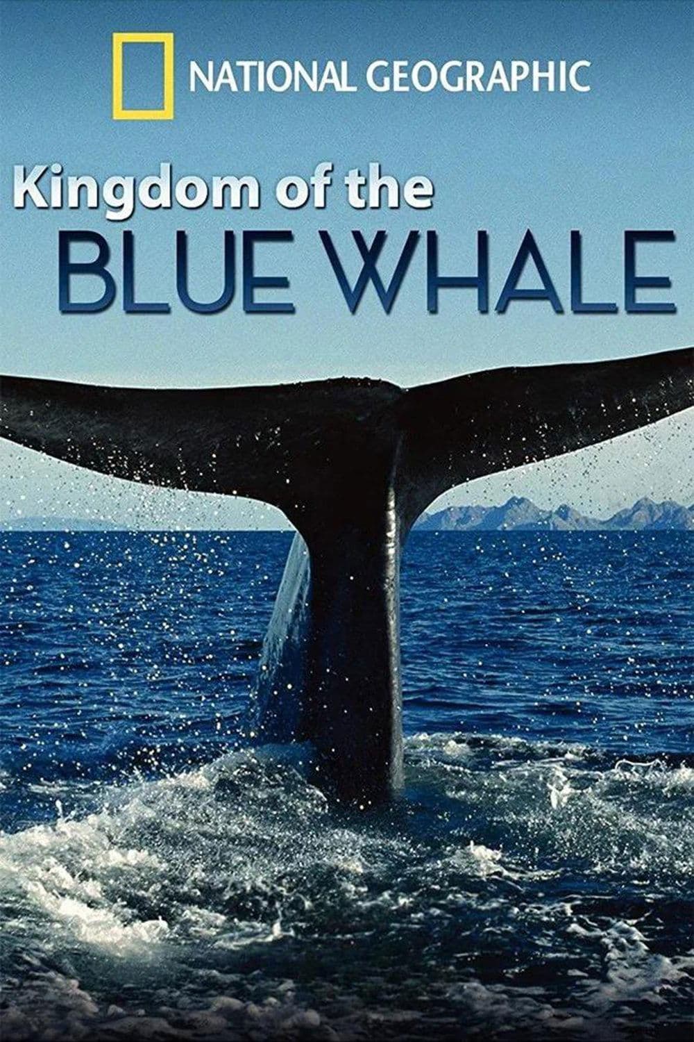 Poster di Il gigante fragile - La balena blu