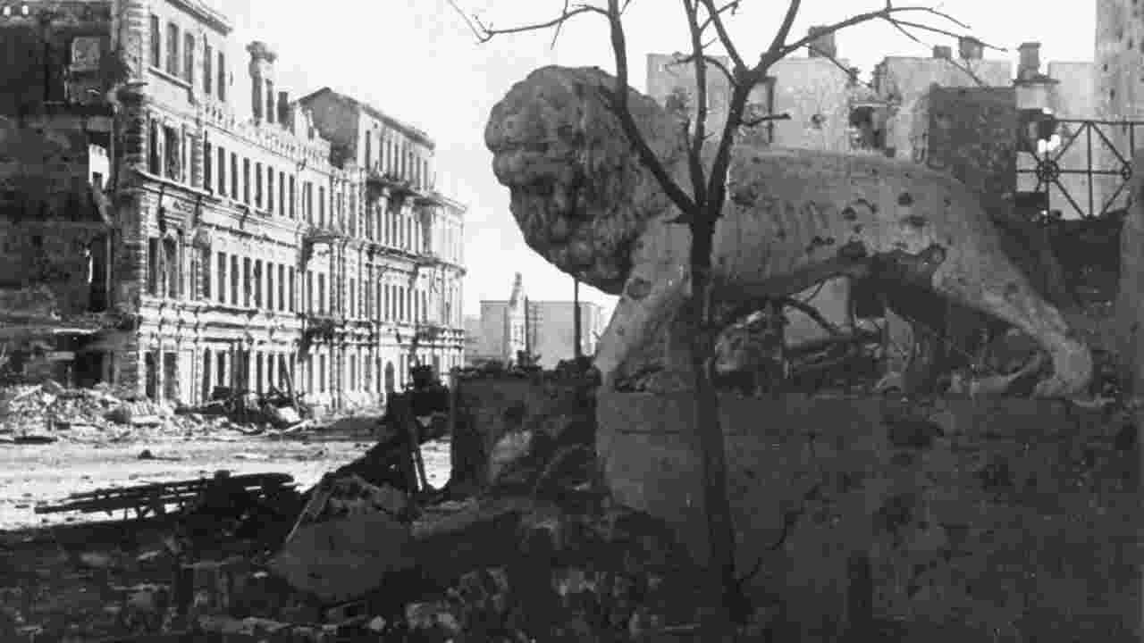 Stalingrad - Stimmen aus Ruinen - immagine
