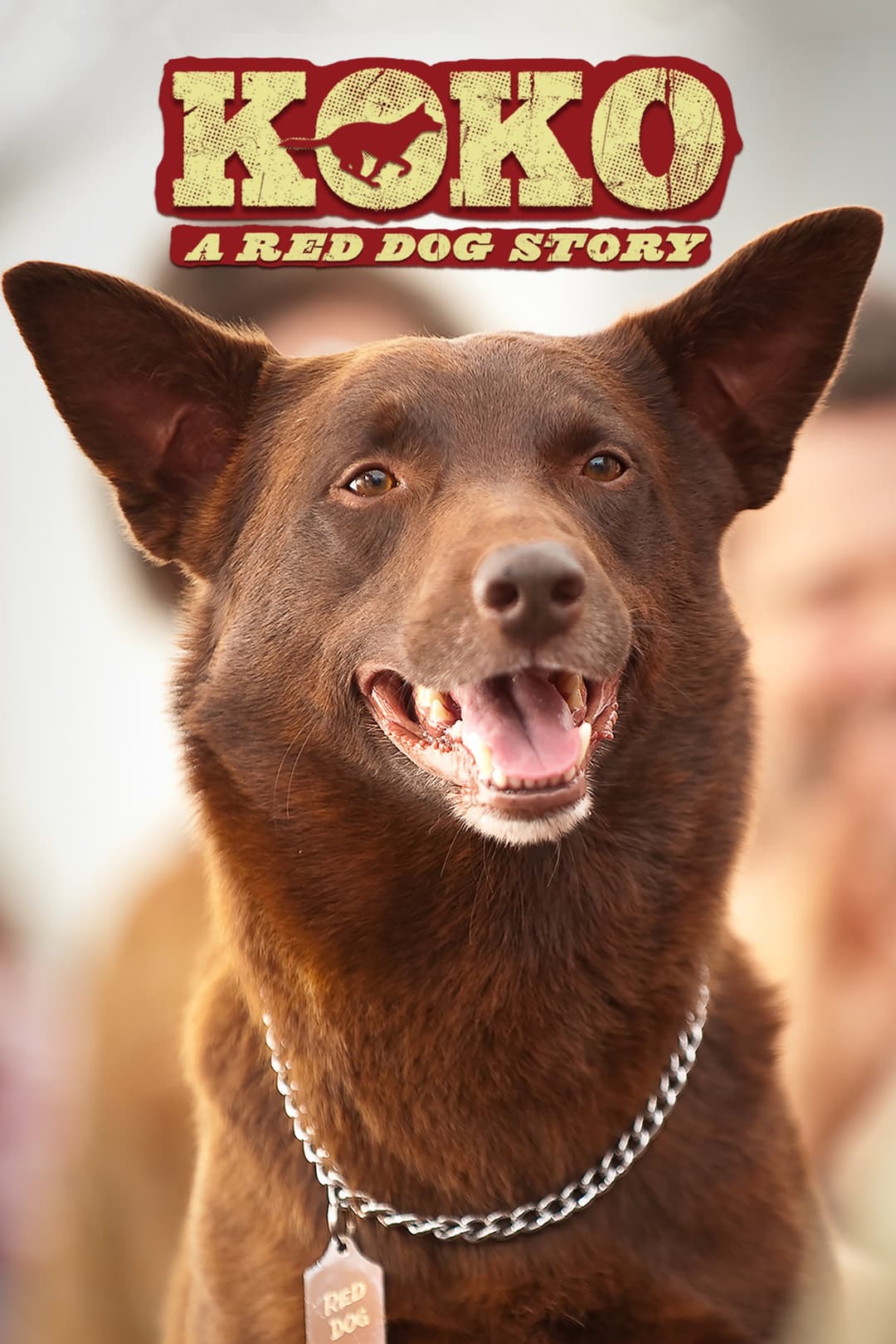 Poster di Koko: A Red Dog Story