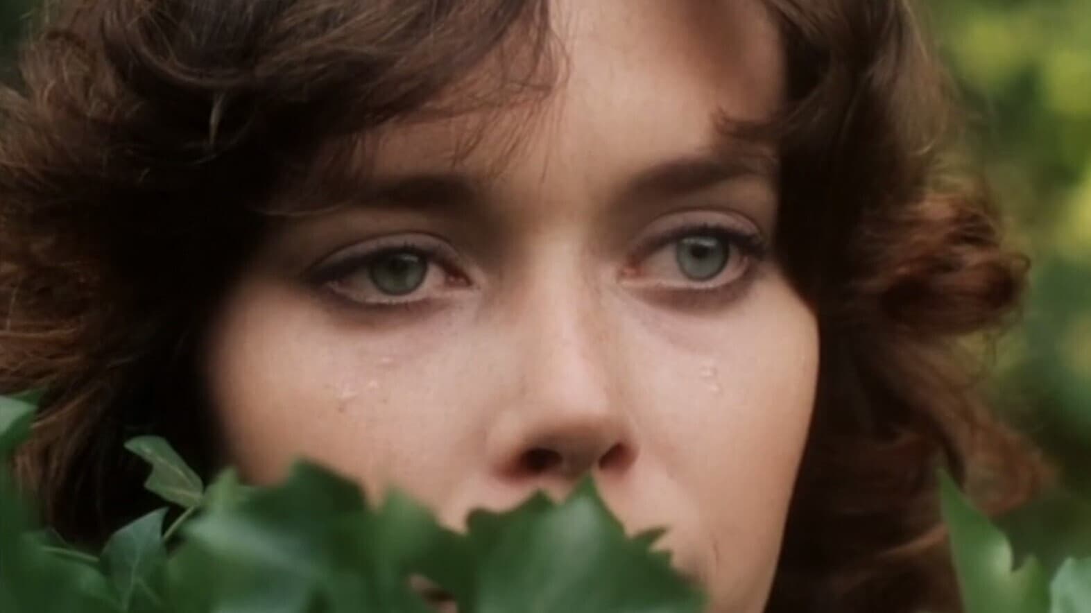 Alice - immagine
