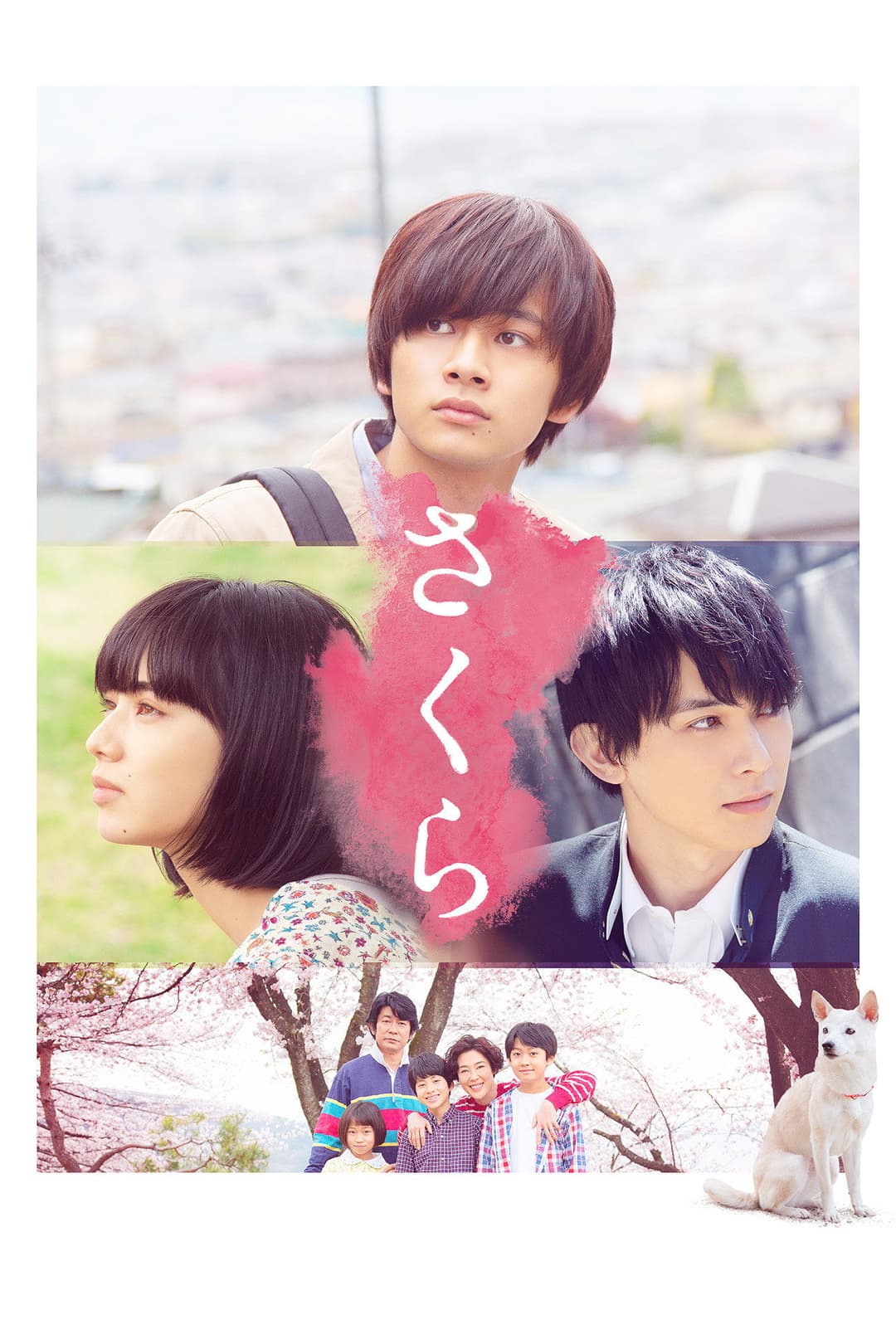 Poster di さくら