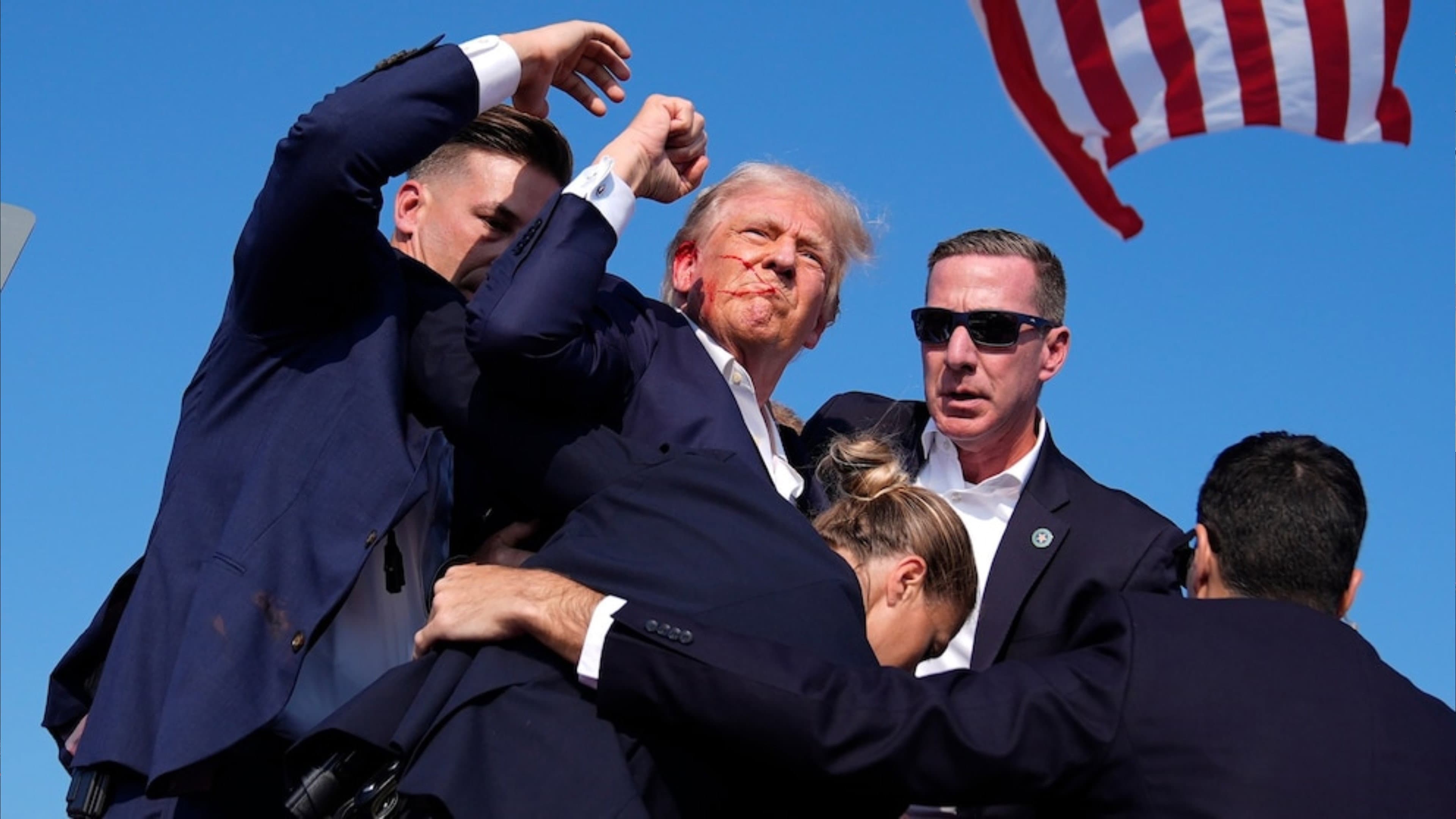 Vindicating Trump - immagine