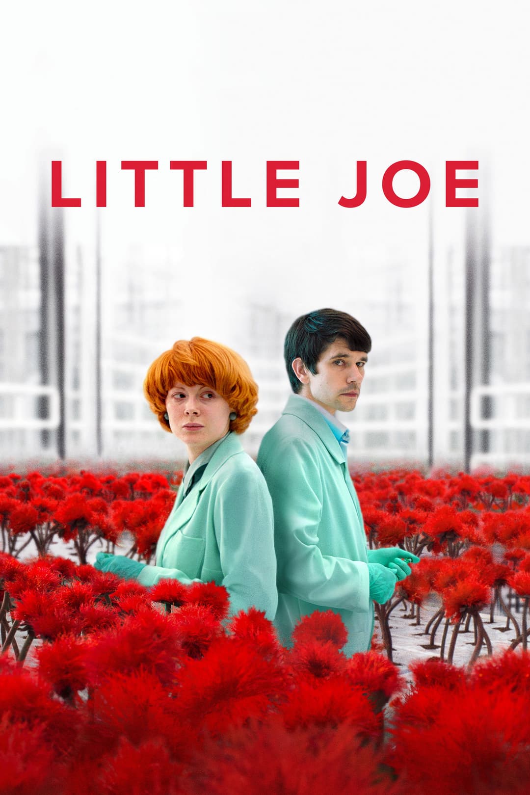 Poster di Little Joe